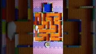 60 seconds hamster race, maze challenge, STEM course