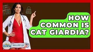 How Common Is Cat Giardia? - Ask A Pet Vet