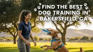 Find the Best Dog Training in Bakersfield California