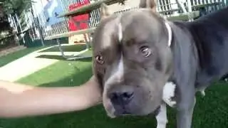 Faith at the Carson Shelter