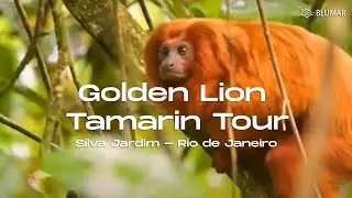 Golden Lion Tamarin Ecological Park