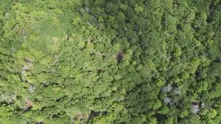 Vacant Lot for Sale Oak Ridge Rd in Defuniak Springs