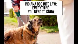 Indiana Dog Bite Law: Everything You Need to Know! - Truitt Law Offices
