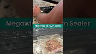 Seal Freshness with the Megawise Vacuum Sealer