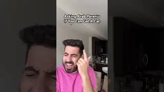 Asking for a cat with Arab parents 🐱 #arabcomedy #comedy #immigrantparents
