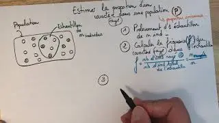 Estimer la proportion d'un caractère  dans une population avec intervalle de confiance