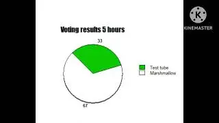 Voting Results in Pie Chart (5 hours)