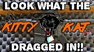 DPMS Kitty Kat Unboxing - A short-barreled 300 Blackout AR with serious throwback vibes!