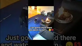 JUST GONNA STAND THERE AND WATCH ME BURN!! #shorts #memes #cat #fypシ゚viral #eminem