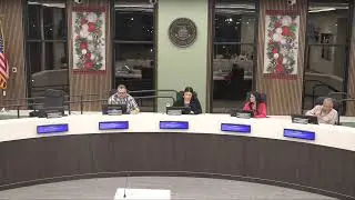 Public Arts Commission  - 13 Jan 2026