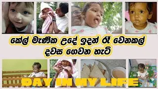 කේල් බබා අම්ම එක්ක දවස ගෙවන හැටි/ #kael'smom #dailyvlog #momwithbaby #බබාටකෑම #බබාගෙකෑම #babyfood