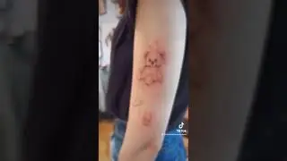 🖤✍🏻 tattoo.jpg 🖤 #singleneedletattoo #tattoo