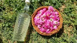 Traditional Rosewater Distillation in a Persian Village | Nature & Heritage
