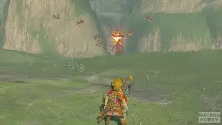 Summoning the Cucco Army to End the Yiga - The legend of Zelda: Breath of the Wild Nintendo Switch 2