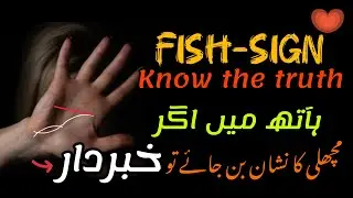 Fish Sign in Palmistry 🐟 | Sudden Wealth Signs | Rare Lucky Signs in Palmistry