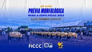 Pr&eacute;via Morfol&oacute;gica para FICCC 2023 - Avalia&ccedil;&atilde;o Categoria F&ecirc;meas- 03/12/2022