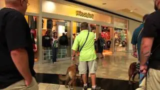 K9's for Warriors Official Trailer