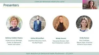 Harm reduction for behavioral health practitioners