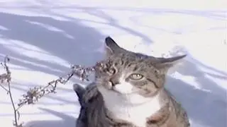when you find yourself in a memory