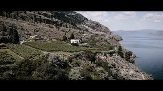 Oak Estate Winery // Weddings Venue
