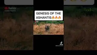 #fun #hollywood in Africa a hot action series #GENESIS OF THE ASHANTIS COMPETITION 1🔥🔥🔥🔥🔥🔥