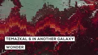 Temazkal & In Another Galaxy - Wonder [Official Audio]