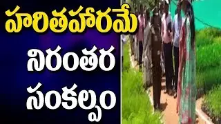 Wanaparthy Collector Sweta Mohanty Inspection Nurseries For Haritha Haram