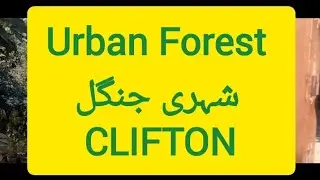Urban Forest / City Jungle CLIFTON KARACHI Part 1