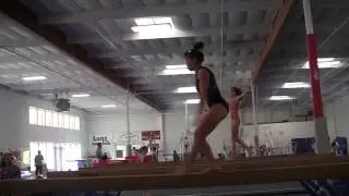 Misty-Jade Carlson Fall 2012 Beam Skills
