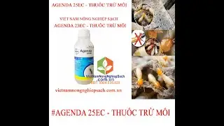 Thuốc diệt mối Agenda 25 EC...0776.755.793...thuốcbảovệthựcvật.vn #dietmoi drplant.vn