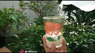 healing water | home cafe Indonesia 🇲🇨