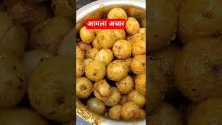 Chatpata Amla Achar 😋 | Healthy & Tasty🙏SWATI KI RASOI #shorts #ytshorts #food #cooking