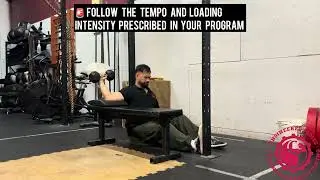 DB Shoulder External Rotation Exercise Version 2