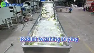 Reduce Labor Cost by 70% with Our Integrated Radish Washer, Dryer and Sorter☺️