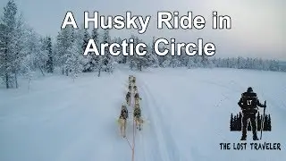 Husky Ride In Lapland Arctic Circle