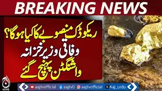 Finance Minister Arrives Washington, Reko Diq Project Updates -Aaj Pakistan Pews