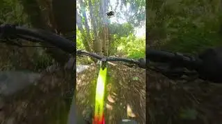 Papi's Trail Shorts Sept 28 2025 #papistrail #michelledhline #downhill #enduro #cavite #tagaytay #dh