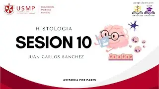 HISTOLOG&Iacute;A - SESI&Oacute;N 10 - GLANDULAS ANEXAS DEL SISTEMA DIGESTIVO - JUAN CARLOS - 2025-2