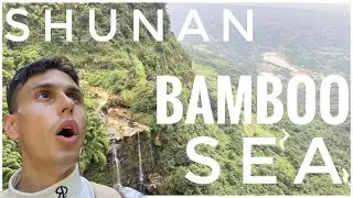 China's Biggest Bamboo Forest - Shunan Bamboo Sea - 蜀南竹海 (As Seen In Crouching Tiger Hidden Dragon)
