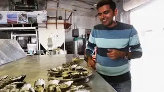 #GLAadventure explores the best of Australia - Head of Bight & Smoky Bay