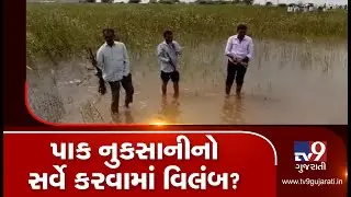 Gandhinagar: Crop loss survey gets delayed due to water-logged fields| TV9GujaratiNews