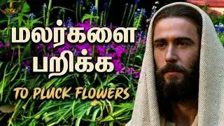 மலர்களை பறிக்க விதைகளை விதைத்தேன் 