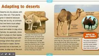 How and Why do Animals Adapt?