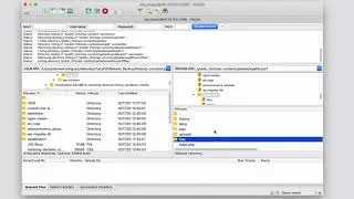 Subir im&aacute;genes via FTP para WP All Import