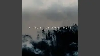 The Weight of Starless Air