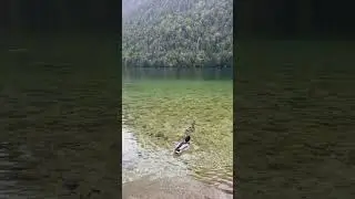 2025 德國仙境 國王湖遊船 K&ouml;nigssee Boat Tour @ 德國國王湖 #shorts