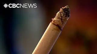Alberta to put hundreds of millions of dollars from tobacco lawsuit payout money into savings