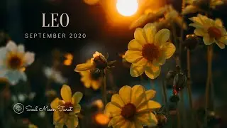 LEO September 2020