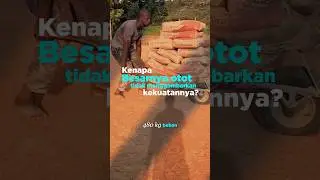 Kenapa otot kecil bisa sangat kuat?