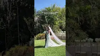 Take me back 🫶 #wedding #intimatewedding #weddingideas #smallwedding